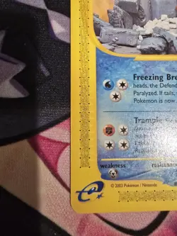 Pokemon TCG Piloswine 24/144 Non-Rare Skyridge Yuka Morii MINT - Image 5