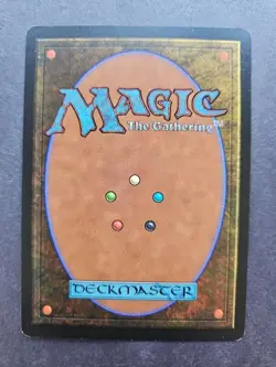 MTG Magic the Gathering FBB Chinese The Rack 1996 Rare - Image 2