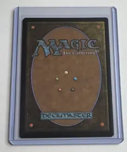 Meticulous Archive #264 Murders at Karlov Manor Rare Land MTG NM/M - Image 2