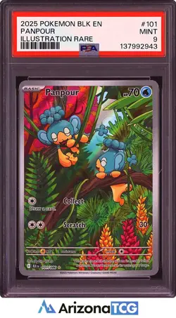 Pokemon 2025 Panpour 101/086 Illustration Rare Black Bolt PSA 9 - Image 1