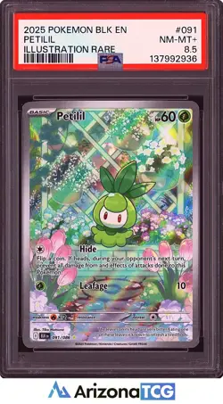 Pokemon 2025 Petilil 091/086 Illustration Rare Black Bolt PSA 8.5 - Image 1