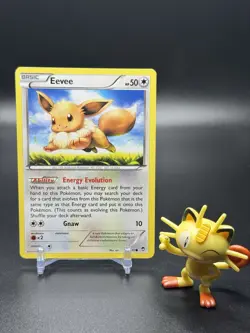 Eevee 80/111 Pokemon XY - Furious Fists Regular - NM - Image 1