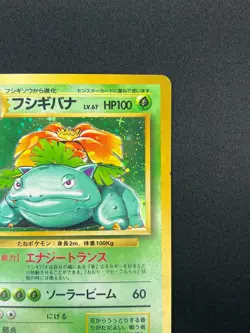 [NM] Venusaur Pokemon Card Japanese No.003 Base Basic Set Vintage Holo 11A69 - Image 5