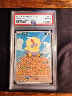 Pokemon 2025 Rufflet 154/086 Illustration Rare Black Bolt PSA 8 - Image 1