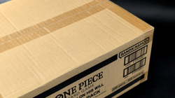 One PIece OP-13 Carrying On His Will English Booster 12-Box Case Sealed - Image 2