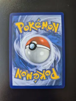 Phanpy Pokemon TCG Holo Illustration Rare Card 205/191 Sv08: Surging Sparks - Image 2