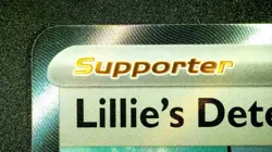 Lillie’s Determination 169/132 UR Holo Pokemon Mega Evolution 2026 Full Art NM/M - Image 4