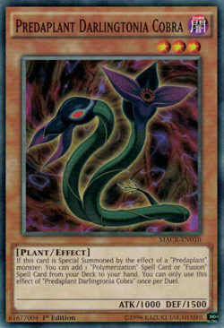 LP Predaplant Darlingtonia Cobra - MACR-EN010​ - Common - 1st Edition Yugioh - Image 1
