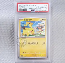 Pikachu (Charizard) PSA 10 📈 2023 Pokemon Gym Event Campaign Promo JP 120/SV-P - Image 1