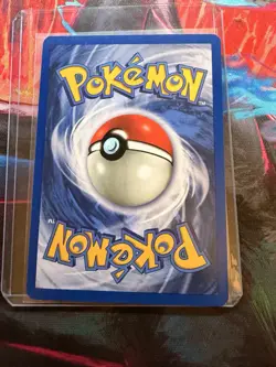 Pokemon TCG Pidgeot Jungle Card 24/64 1st Edition Rare NM - Image 2