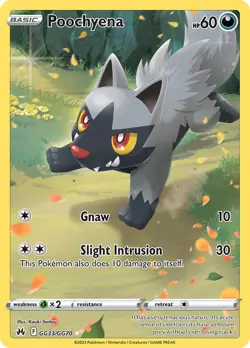 Poochyena GG33/GG70 Holo Rare Crown Zenith Pokemon Cards - Image 1