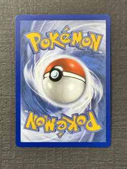 Litten - 044 044 Holo Promo ME: Mega Evolution Promo Pokemon NM - Image 2