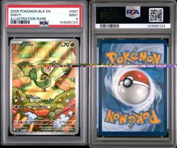 2025 POKEMON BLK EN-BLACK BOLT ILLUSTRATION RARE #087 SNIVY PSA 9 - Image 3