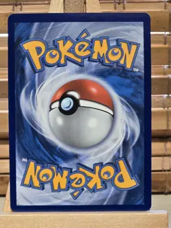 Mega Dragonite EX 290/217 SIR - ASC EN Ascended Heroes Pokemon - NM - Image 5