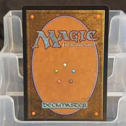 Magic: The Gathering Abandoned Air Temple Land Rare TLA 0263 2025 - Image 2