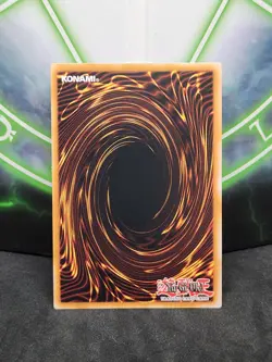 Yugioh Red-Eyes Black Dragon MAGO-EN003 Gold Rare 1st Edition NM - Image 2