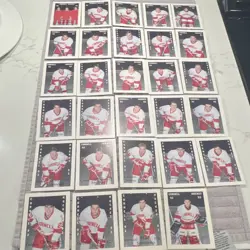 Cornell Hockey Boosters Card Lot 1992-93 College Card Collection Hughes 29 cards - Image 1