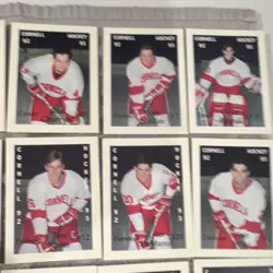 Cornell Hockey Boosters Card Lot 1992-93 College Card Collection Hughes 29 cards - Image 3