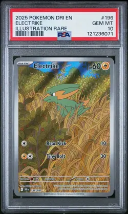 Pokemon Destined Rivals # 196 Electrike Illustration Rare PSA 10 Card Free Ship! - Image 1