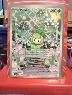 Petilil 091/086 Sv: Black Bolt Holo Pokemon TCG Illustration Rare Card Nm - Image 1