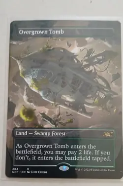 Overgrown Tomb (Borderless) Unfinity Regular - Image 1