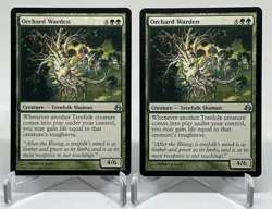 MTG Orchard Warden Morningtide NM 131/150 Magic: The Gathering - Image 1
