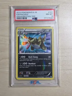 2012 POKEMON B&W DRAGONS EXALTED #127 KROOKODILE PSA 8 - Image 4