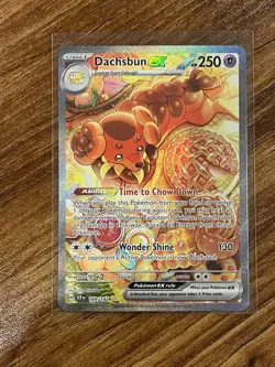 Pokemon Dachsbun ex 169/142 Special Illustration Rare Full Art Holo SV07 - Image 1
