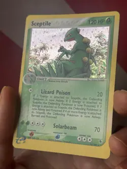 SCEPTILE 11/109 EX Ruby & Sapphire HOLO rare Pokemon TCG card NM+ CLEAN! - Image 3