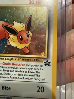 Pokemon Eevee Wotc Black Star Promo 🌟 11/53 Holo Promo English Basic NM - Image 1