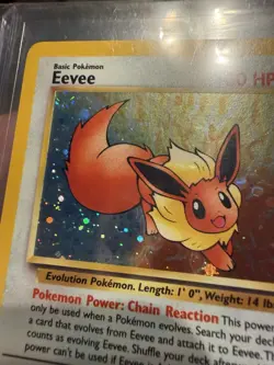 Pokemon Eevee Wotc Black Star Promo 🌟 11/53 Holo Promo English Basic NM - Image 3