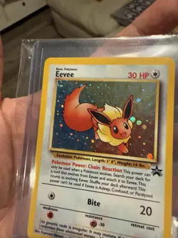 Pokemon Eevee Wotc Black Star Promo 🌟 11/53 Holo Promo English Basic NM - Image 4