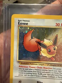 Pokemon Eevee Wotc Black Star Promo 🌟 11/53 Holo Promo English Basic NM - Image 5