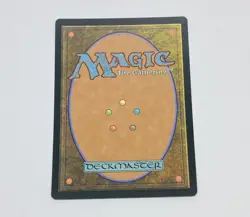 Forest 384 Magic The Gathering Trading Card MTG Tc7 - Image 2