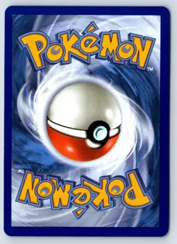 Litten - 044 044 Holo P ME: Mega Evolution Promo Pokemon NM - Image 2