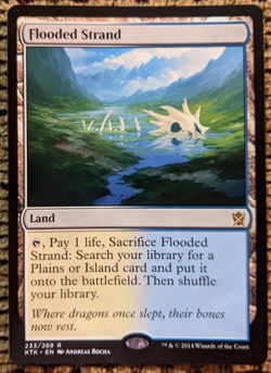 Flooded Strand – Khans of Tarkir (KTK) | Non-Foil | MTG Fetch Land - NM - Image 1