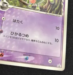 Pokemon Card Treecko 131/PCG-P Delta Species Promo Japanese - Image 5