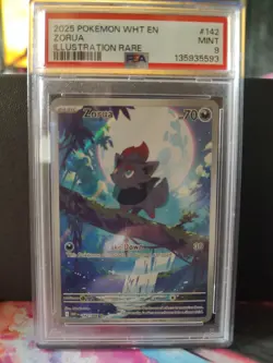 2025 POKEMON WHT EN-WHITE FLARE ILLUSTRATION RARE #142 ZORUA PSA 9 MINT - Image 1