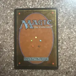 Magic The Gathering MTG Miracle Worker The Dark - LP - Image 2