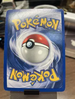 Pokemon TCG Dark Gyarados Holo Rare 8/82 Prerelease Holo 2000 Promo Unused - Image 2