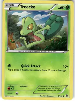Treecko - 6/160 (Sheen Holo) Promo Miscellaneous Cards & Products 006/160 LP - Image 1