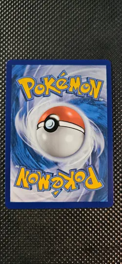2021 Pokemon Black Star Promo #SM248 Pikachu & Zekrom GX - Image 2