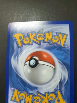 Squirle MEP 039 First Partner 30th Anniversary PROMO Pokemon Card | NEAR MINT - Image 3
