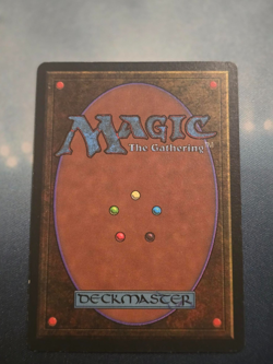 Acid Rain Magic The Gathering MTG Legends NM - Image 2
