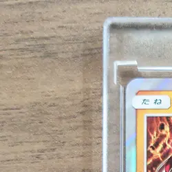 Pokemon Groudon Holo R 050/096 SM7 Sky-Splitting Charisma Japanese Card - Image 3