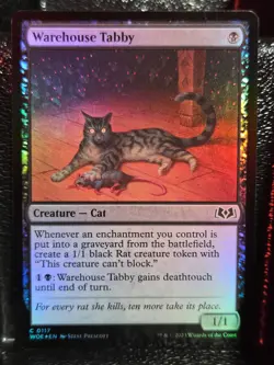 Warehouse Tabby 117 Common Wilds of Eldraine Magic: The Gathering Foil Near Mint - Image 1
