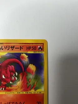 Dark Charmeleon 022/048 Web Series 2001 1st Edition | Japanese Pokemon | NM - Image 3