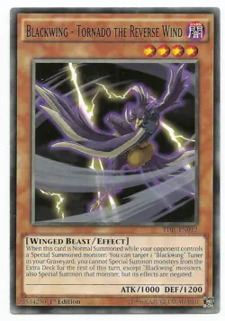 Blackwing - Tornado the Reverse Wind TDIL-EN012 Yu-Gi-Oh Card 1st Edition New - Image 2