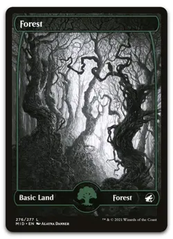 Forest (276) #276 (NM) Midnight Hunt MID Magic MTG - Image 1
