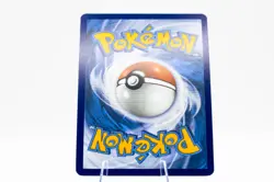 Terapagos Pokemon Surging Sparks 161/191 Reverse Holo Near Mint - Image 2